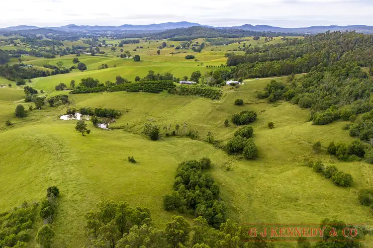 Second view of Homely rural property listing, 344 Williams Hill Rd, Talarm NSW 2447