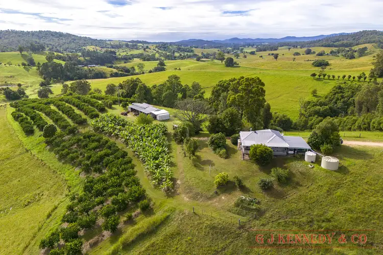 Third view of Homely rural property listing, 344 Williams Hill Rd, Talarm NSW 2447
