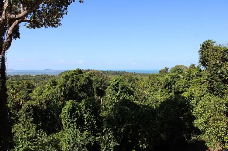 Main view of Homely land listing, 7 Bingil Bay Road, Bingil Bay QLD 4852