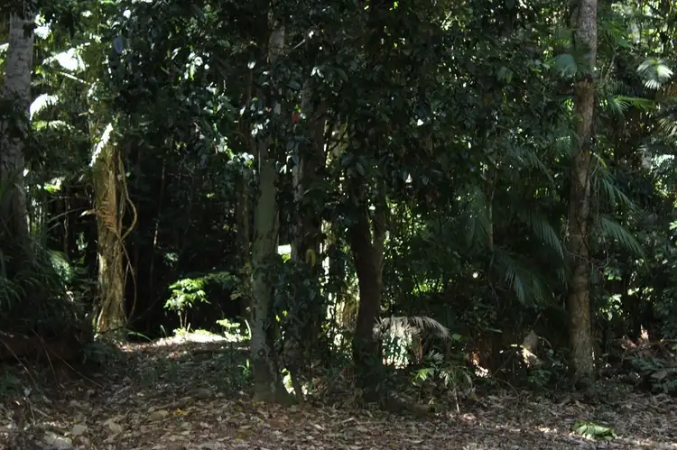 Third view of Homely land listing, 7 Bingil Bay Road, Bingil Bay QLD 4852