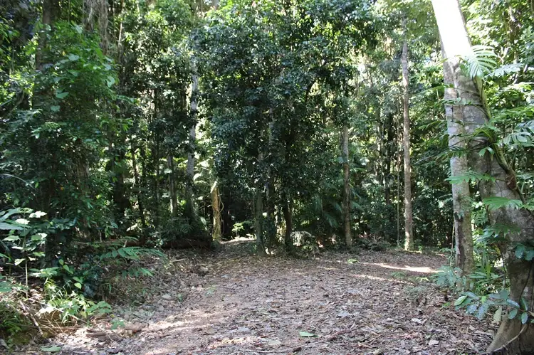 Fourth view of Homely land listing, 7 Bingil Bay Road, Bingil Bay QLD 4852