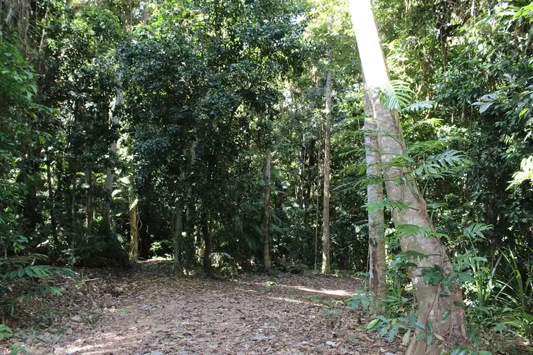 Seventh view of Homely land listing, 7 Bingil Bay Road, Bingil Bay QLD 4852