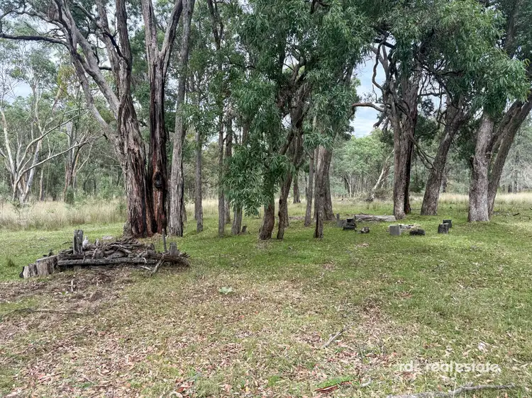 Fifth view of Homely rural property listing, Lot 1 Bingara Road, Bundarra NSW 2359
