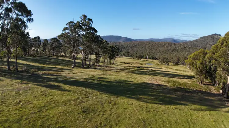 Sixth view of Homely rural property listing, 2090 Arthur Highway, Copping TAS 7174