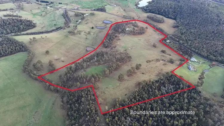 Seventh view of Homely rural property listing, 2090 Arthur Highway, Copping TAS 7174