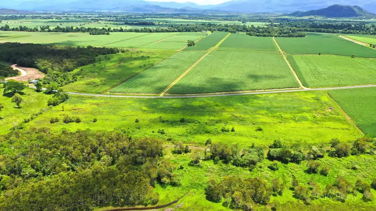 Seventh view of Homely land listing, LOT 14 Davidson Rd, Munro Plains QLD 4854