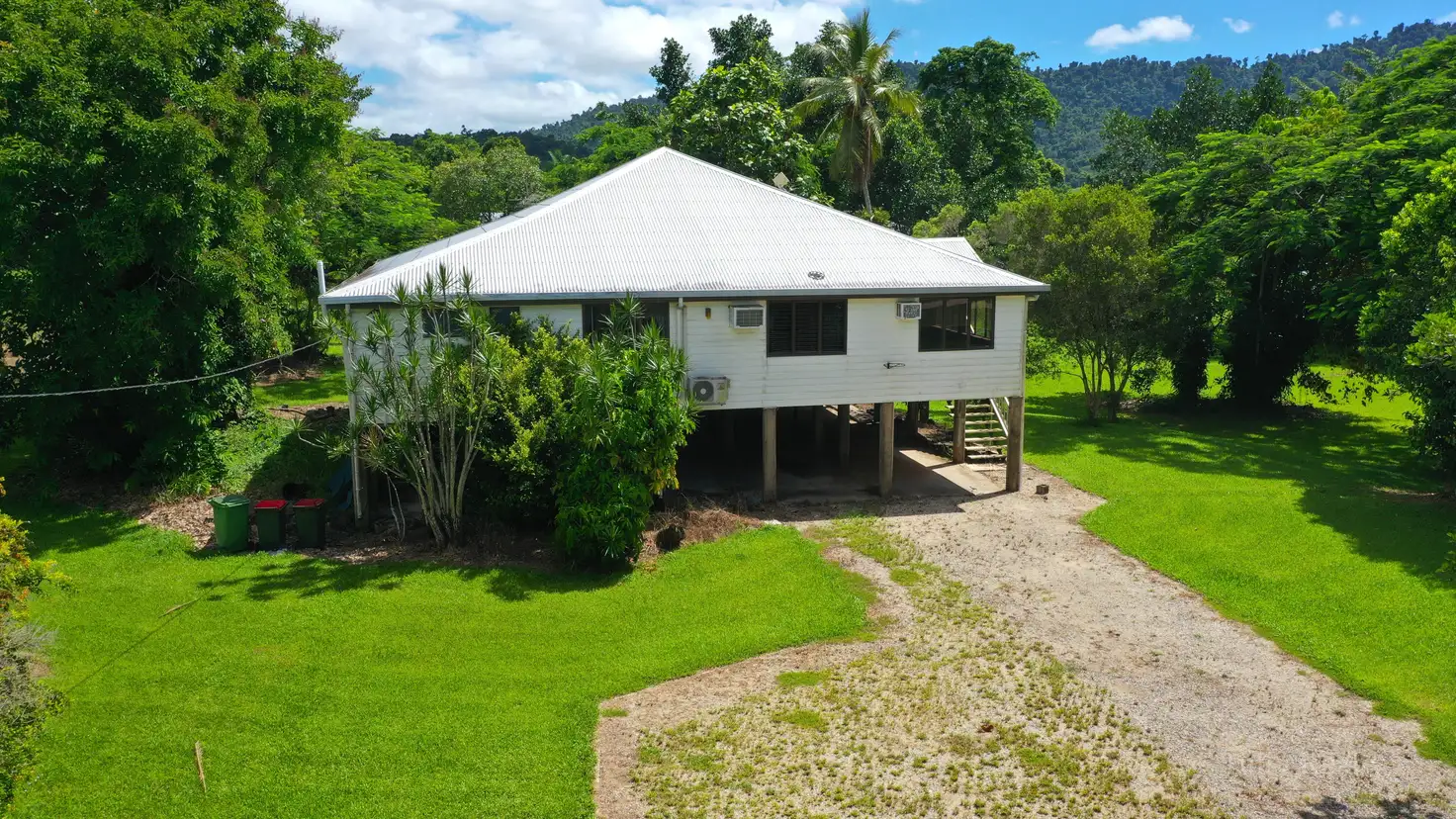 Main view of Homely house listing, 871 Old Tully Rd, Djarawong QLD 4854