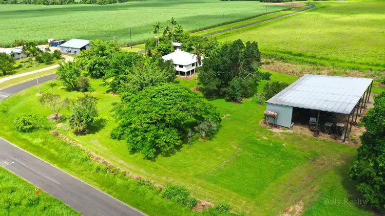 Fifth view of Homely house listing, 871 Old Tully Rd, Djarawong QLD 4854