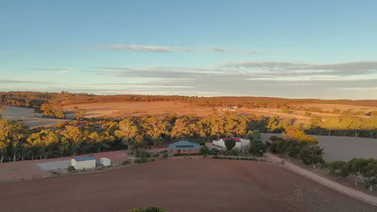 284 Beetaloo Valley Rd, Beetaloo Valley SA 5523