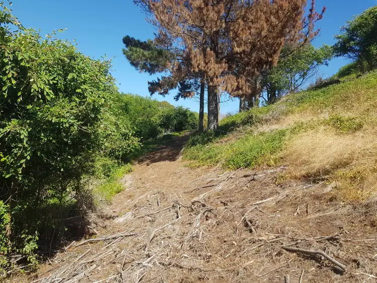 Fifth view of Homely land listing, Address available on request