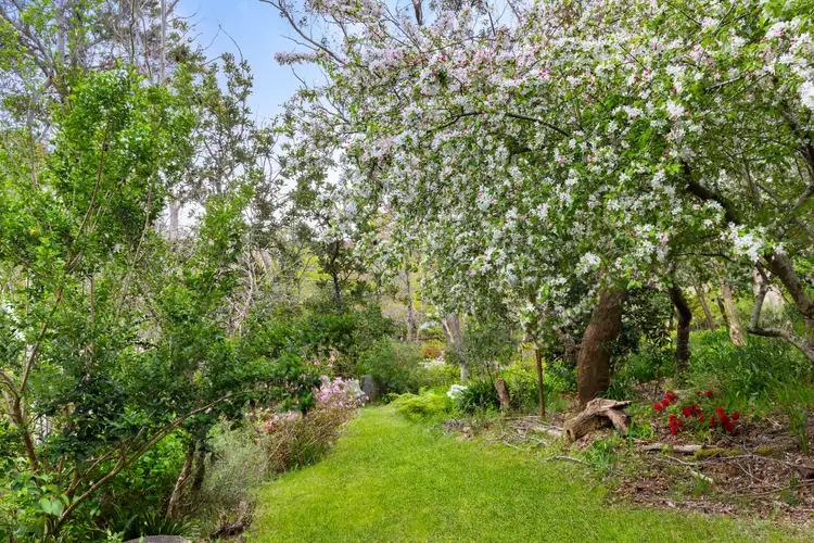 3 Wentworth Ave, Leura NSW 2780
