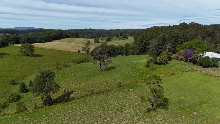 Seventh view of Homely rural property listing, 1033 Rodeo Dr, Bowraville NSW 2449