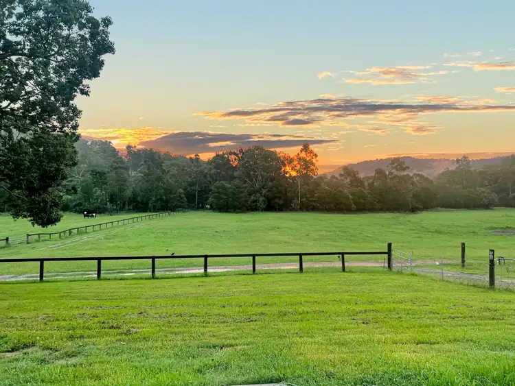 Third view of Homely rural property listing, 61 Narone Creek Rd, Wollombi NSW 2325