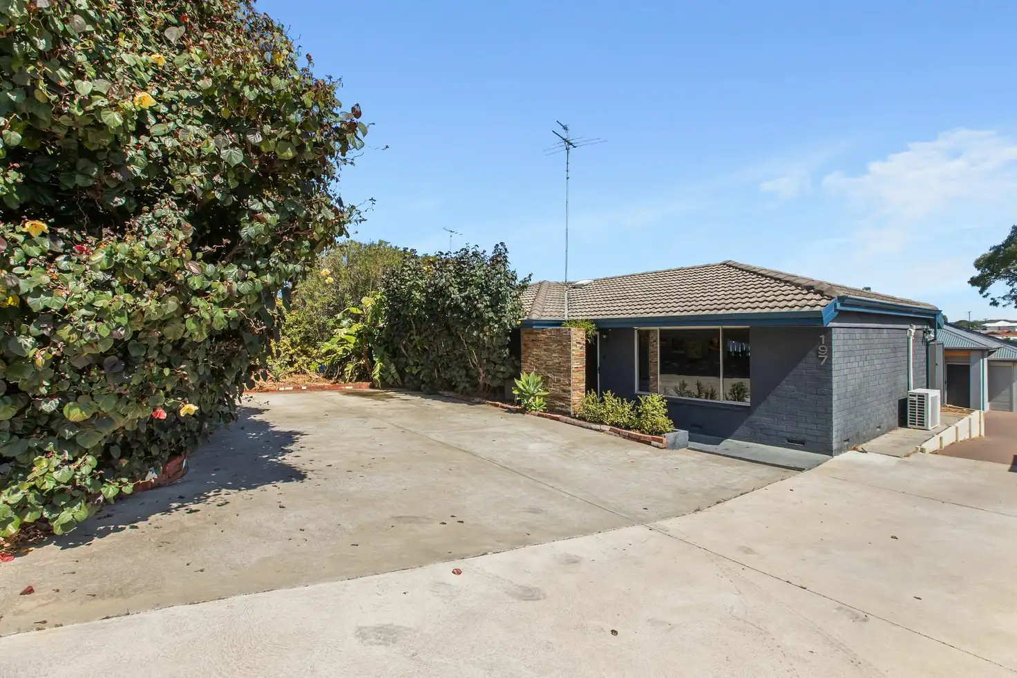 Main view of Homely house listing, 197 Rockingham Rd, Hamilton Hill WA 6163