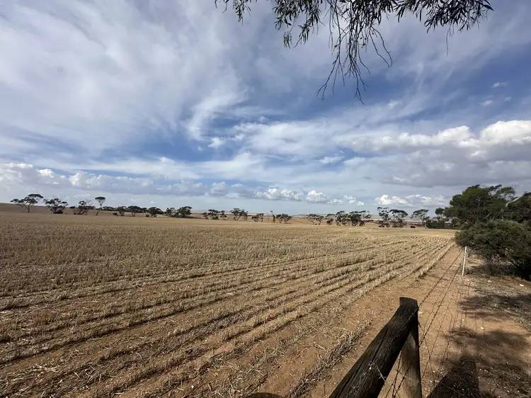 Main view of Homely land listing, 5 Gunner Bills Rd, Bute SA 5560
