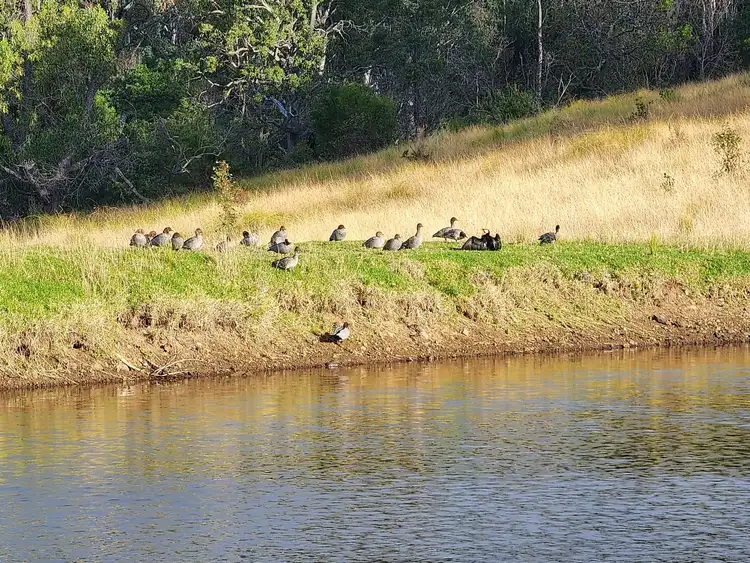 Seventh view of Homely rural property listing, 67 Omaru Lane, LOCHIEL Via, Pambula NSW 2549