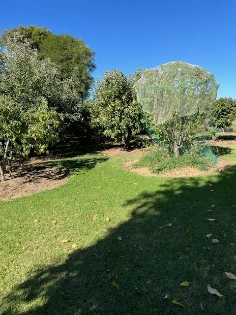 Second view of Homely rural property listing, 941 Murphys Lake Road, Appin VIC 3579