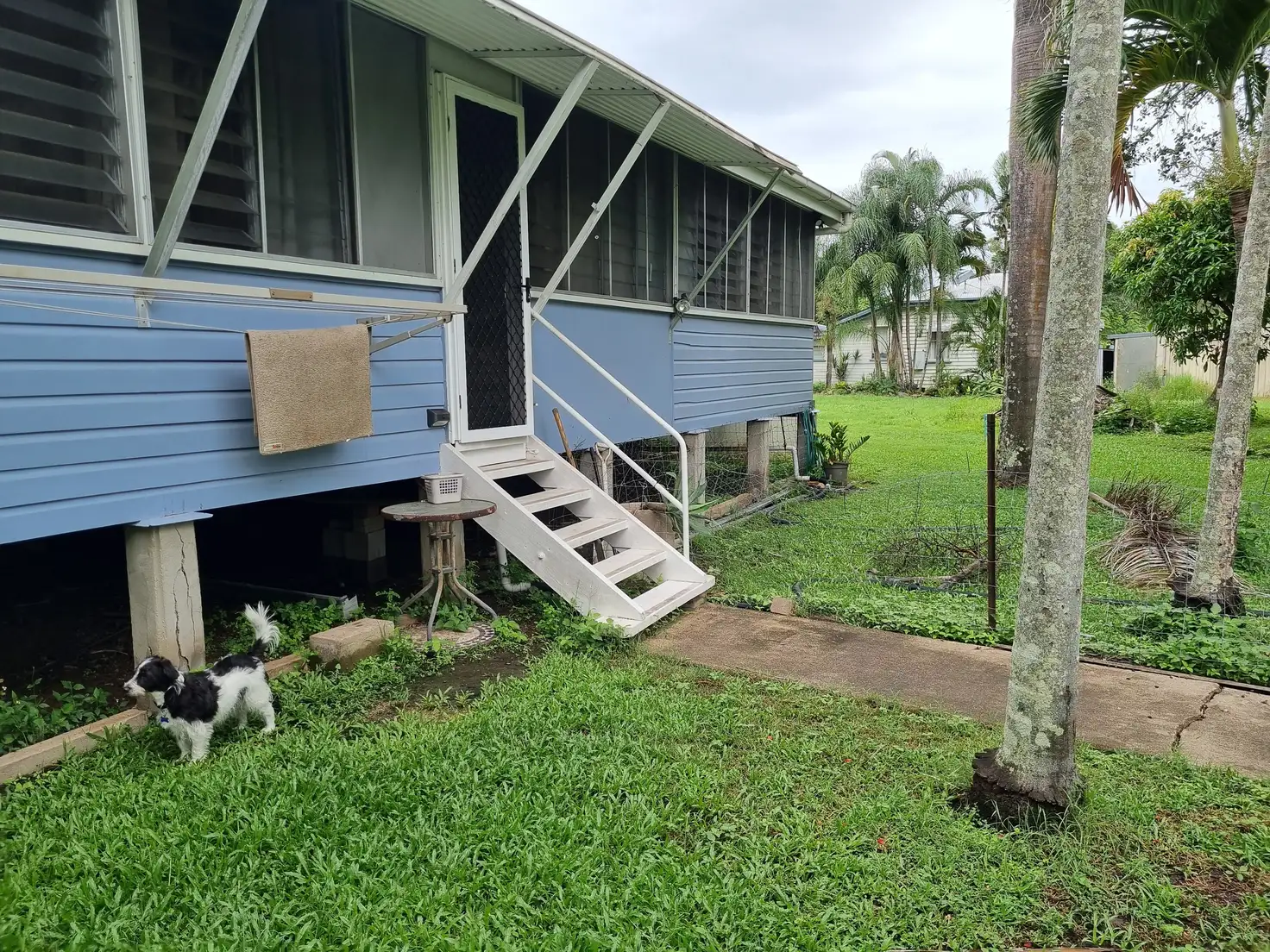 Main view of Homely house listing, 8497 Bruce Hwy, Bloomsbury QLD 4799