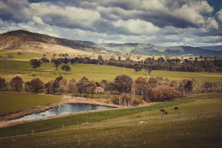 Main view of Homely land listing, 25 Jephcott Avenue, Corryong VIC 3707