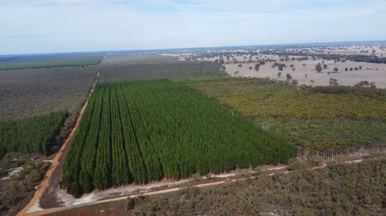 Main view of Homely rural property listing, Lot 1 Jim Ryans Road, Edenhope VIC 3318