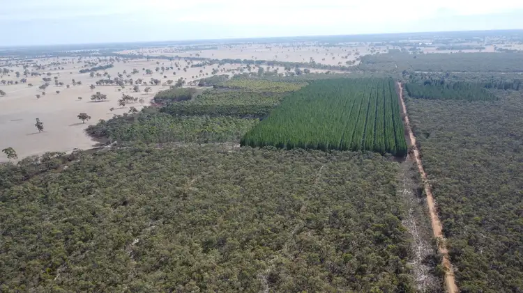 Third view of Homely rural property listing, Lot 1 Jim Ryans Road, Edenhope VIC 3318
