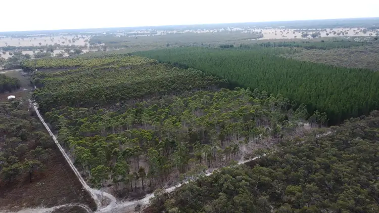 Fifth view of Homely rural property listing, Lot 1 Jim Ryans Road, Edenhope VIC 3318
