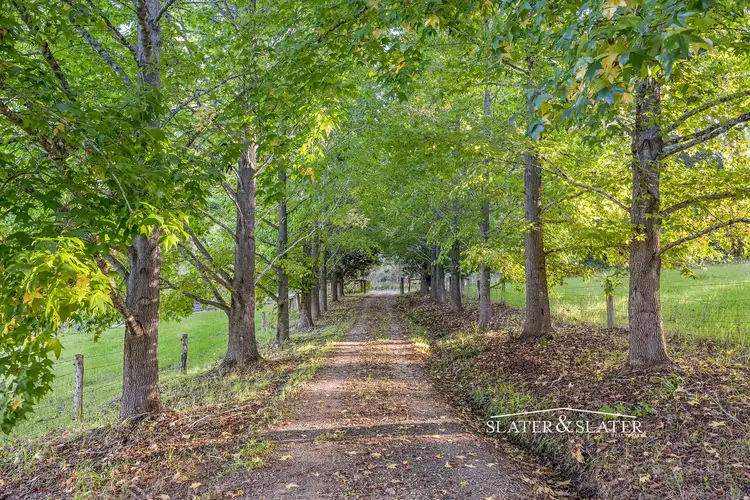 1216 Bellangry Rd, Bellangry NSW 2446