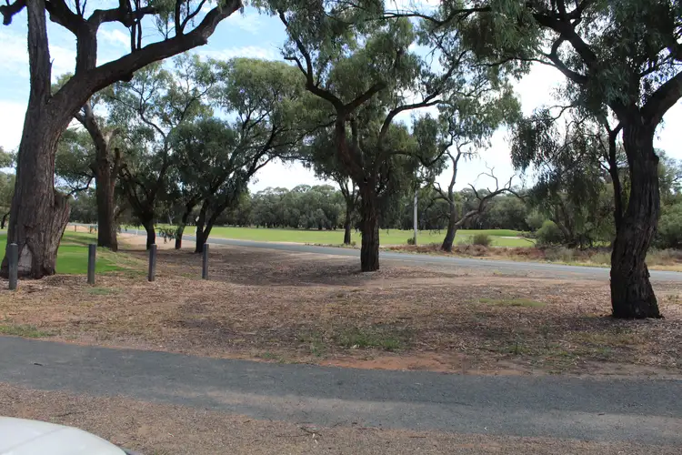 Seventh view of Homely land listing, 7 Riverview Drive, Dareton NSW 2717