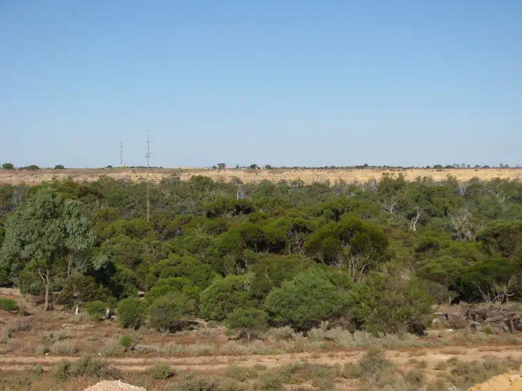 Second view of Homely land listing, Lot 1000 Merivale Street, Blanchetown SA 5357