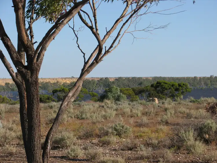 Fourth view of Homely land listing, Lot 1000 Merivale Street, Blanchetown SA 5357