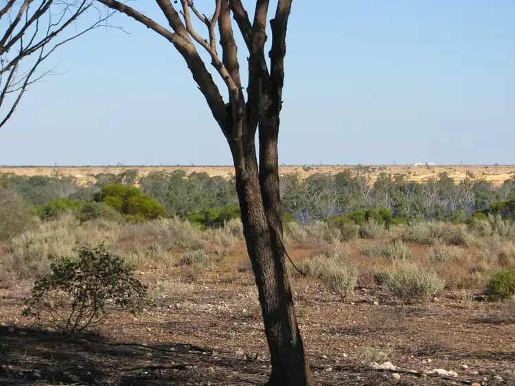 Fifth view of Homely land listing, Lot 1000 Merivale Street, Blanchetown SA 5357