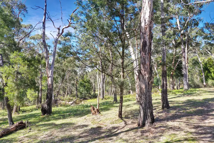 Second view of Homely land listing, LOT 3, 334-392 GRAMPIANS ROAD, Halls Gap VIC 3381