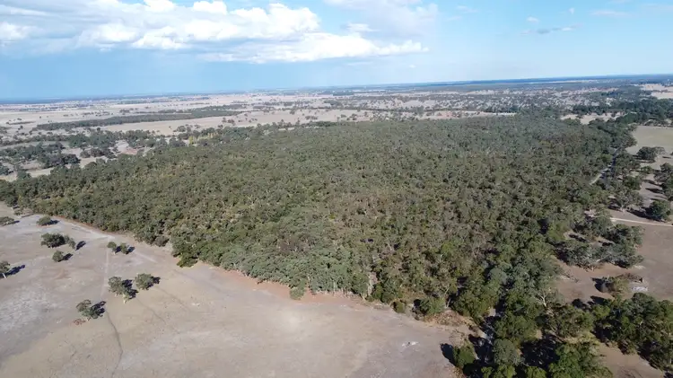 Main view of Homely rural property listing, Section 292 Crower Road, Lucindale SA 5272