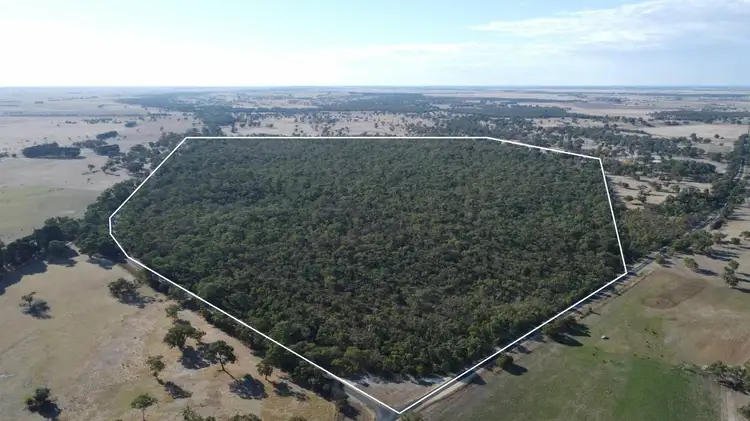 Third view of Homely rural property listing, Section 292 Crower Road, Lucindale SA 5272