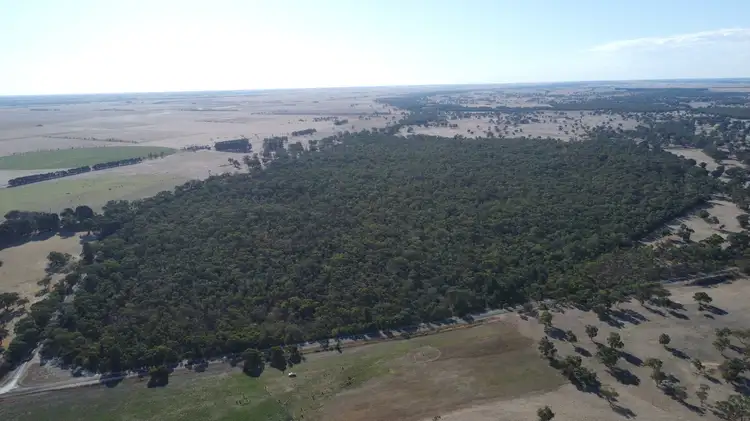 Fifth view of Homely rural property listing, Section 292 Crower Road, Lucindale SA 5272