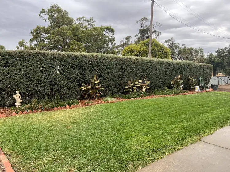 Second view of Homely house listing, 6-8 Hayes Street, Berrigan NSW 2712