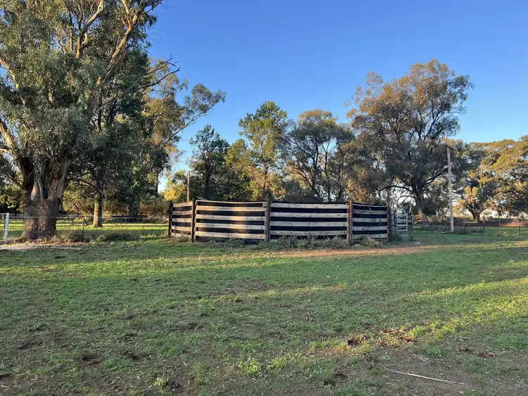 Fifth view of Homely rural property listing, 651 Jerilderie Road, Berrigan NSW 2712