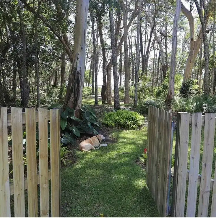 Main view of Homely house listing, 36 Shellcot St, Toogoom QLD 4655