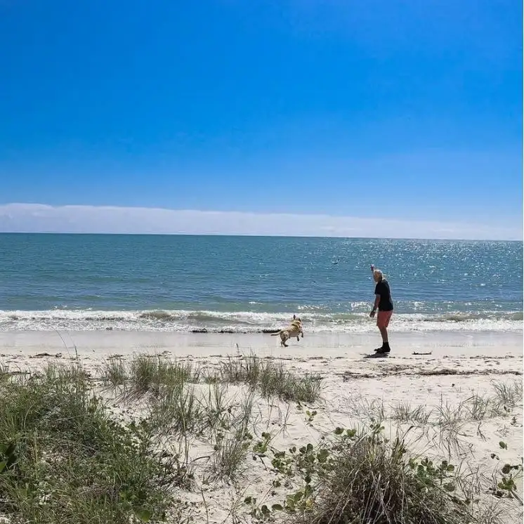 Second view of Homely house listing, 36 Shellcot St, Toogoom QLD 4655