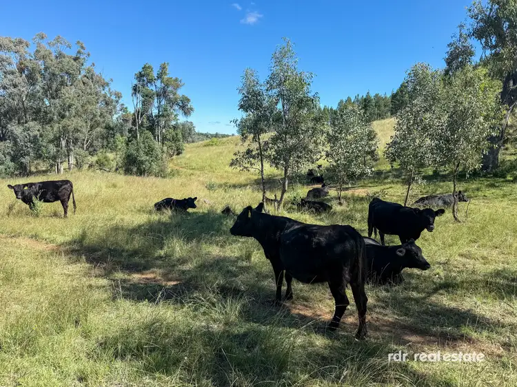 Third view of Homely rural property listing, 733 Upper Whitlow Road, Bingara NSW 2404