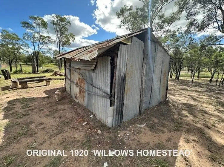 1 Golden Willow Dr, Willows QLD 4702