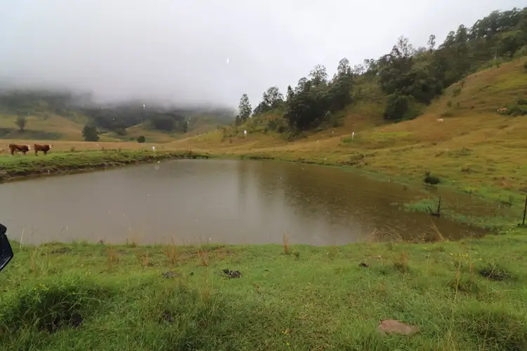 Fifth view of Homely land listing, 95 Smiths Creek Road, Lower Creek NSW 2440