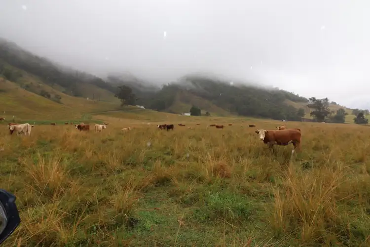 Sixth view of Homely land listing, 95 Smiths Creek Road, Lower Creek NSW 2440