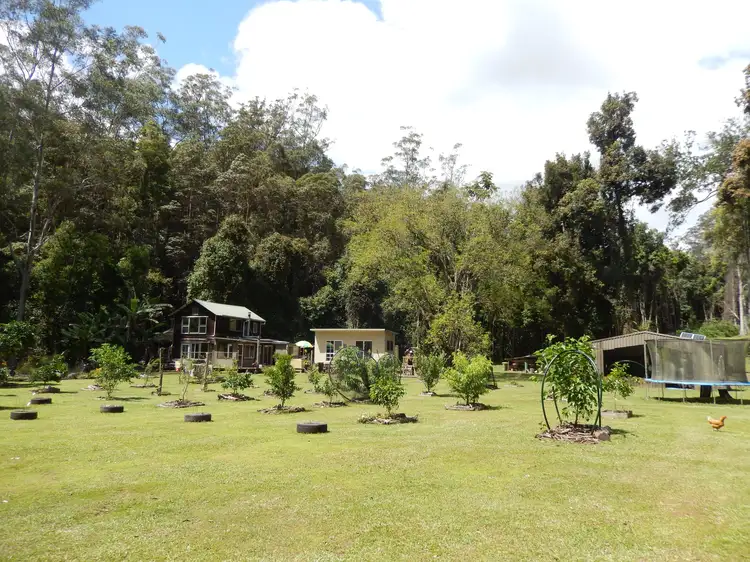 1167 Darkwood Road, Darkwood NSW 2454