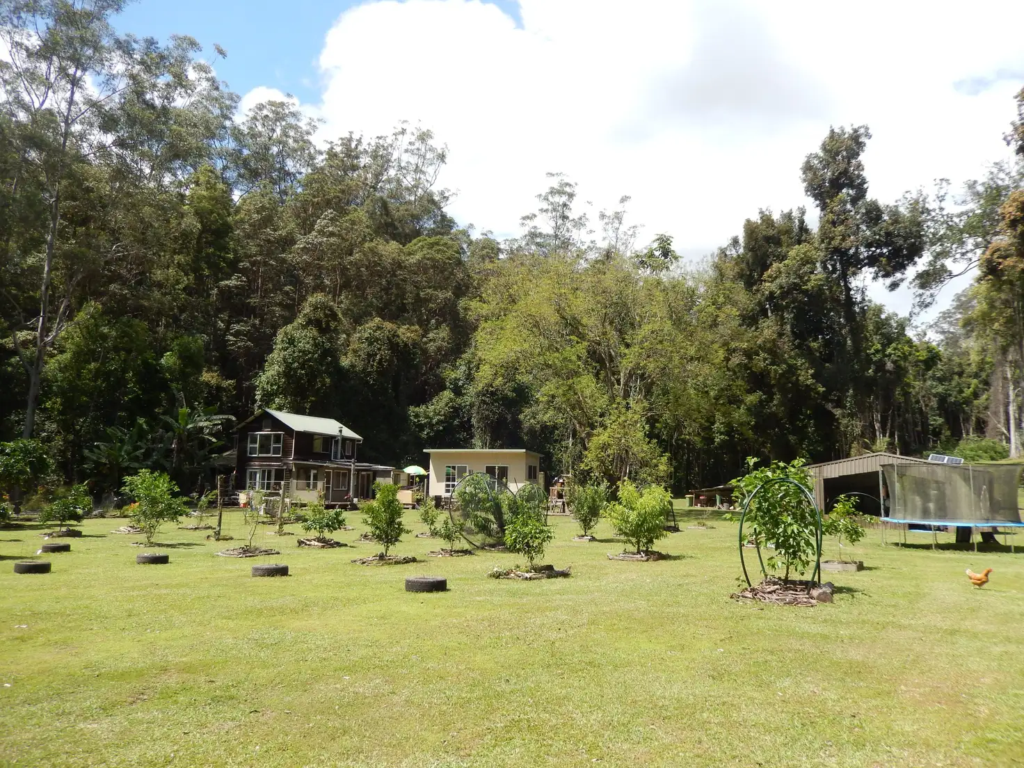 Main view of Homely rural property listing, 1167 Darkwood Road, Darkwood NSW 2454