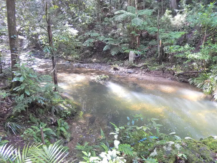 Fourth view of Homely rural property listing, 1167 Darkwood Road, Darkwood NSW 2454