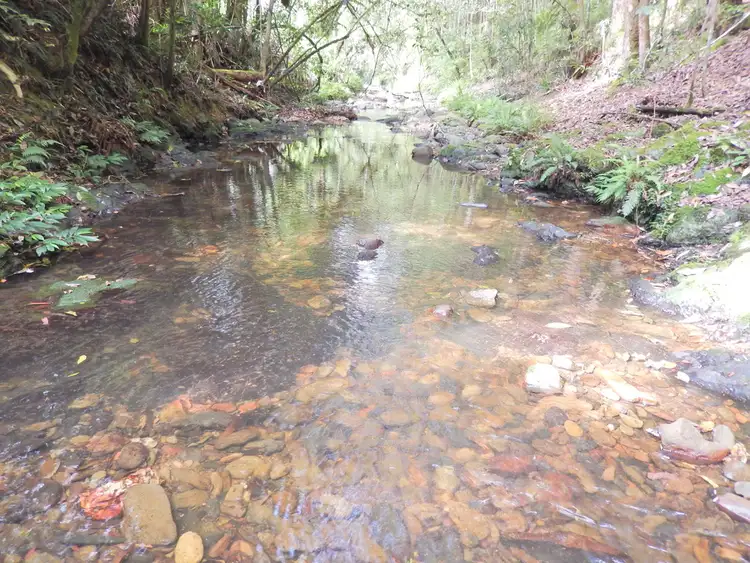 Fifth view of Homely rural property listing, 1167 Darkwood Road, Darkwood NSW 2454