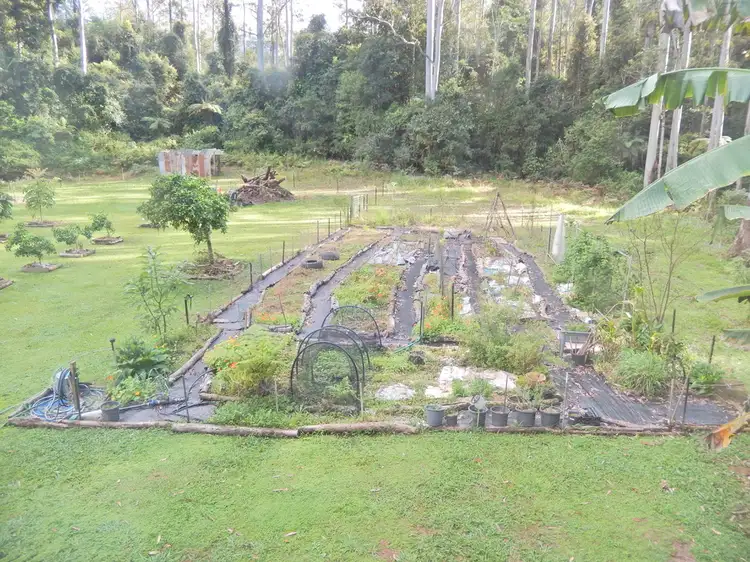 Sixth view of Homely rural property listing, 1167 Darkwood Road, Darkwood NSW 2454