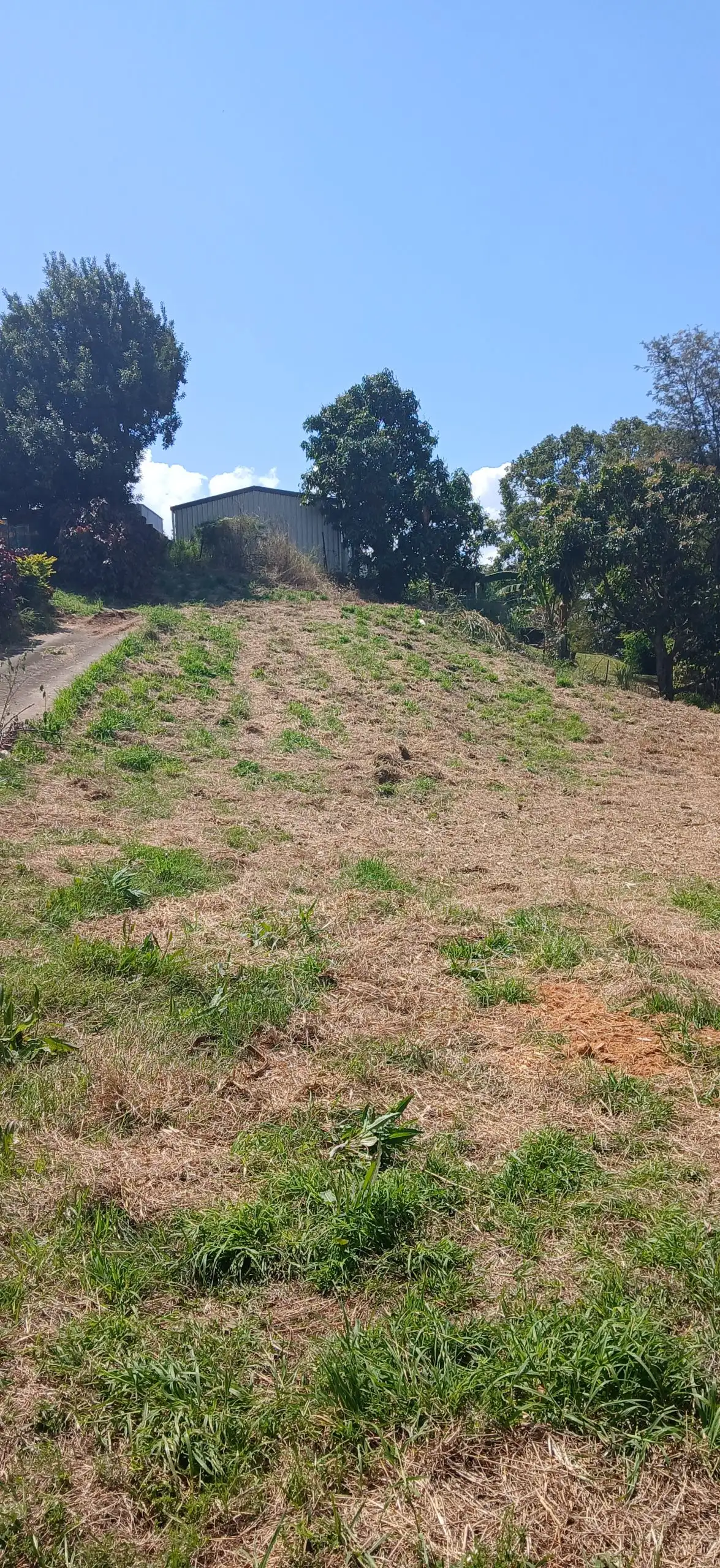 Main view of Homely land listing, 195 Ann, Maryborough QLD 4650