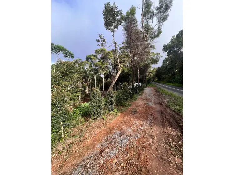 Fourth view of Homely land listing, 2471 Springbrook Road, Springbrook QLD 4213